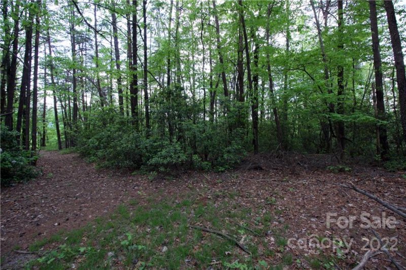 Property image 3 at Lot 38 Round Mountain Road, Brevard, NC 28712