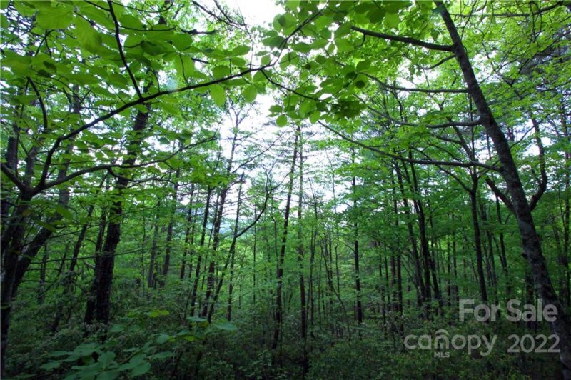 Property image 5 at Lot 38 Round Mountain Road, Brevard, NC 28712
