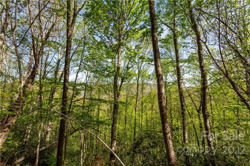 Property image 4 at Lot 40 Fox Loop Trail, Qualla, NC 28719