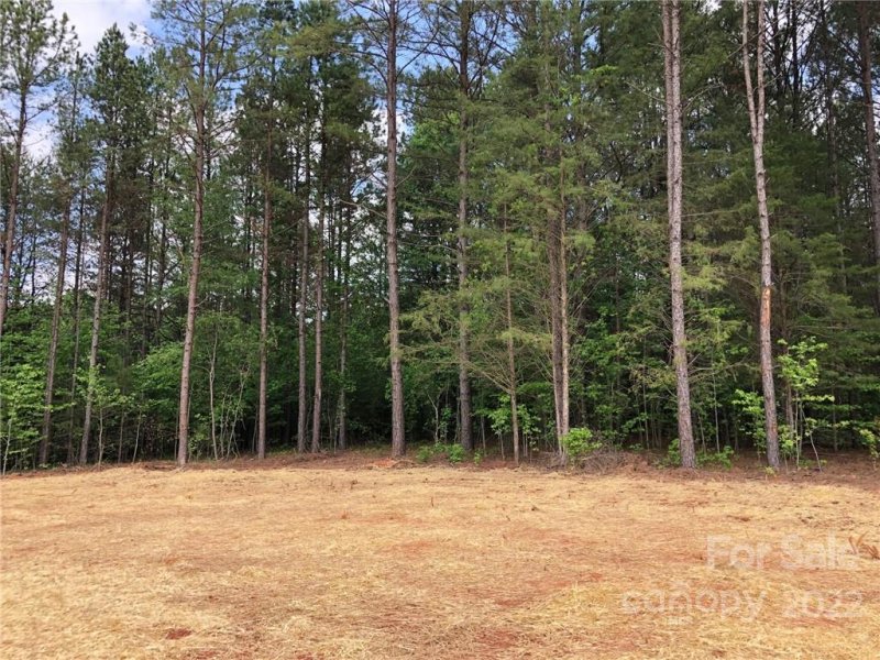 Property image 2 at 3146 Montreaux Valley Drive, Indian Land, SC 29707