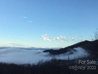 Property image 3 at 337 E Sondley Drive, Asheville, NC 28805