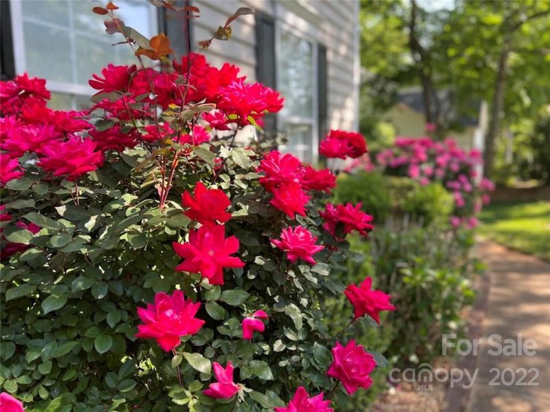 Property image 3 at 143 Spring Grove Drive, Mooresville, NC 28117