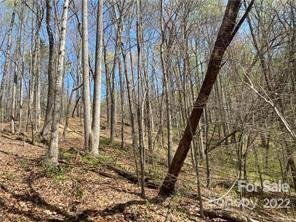 Property image 5 at 53 54 Mountain Crest Drive, Marion, NC 28752