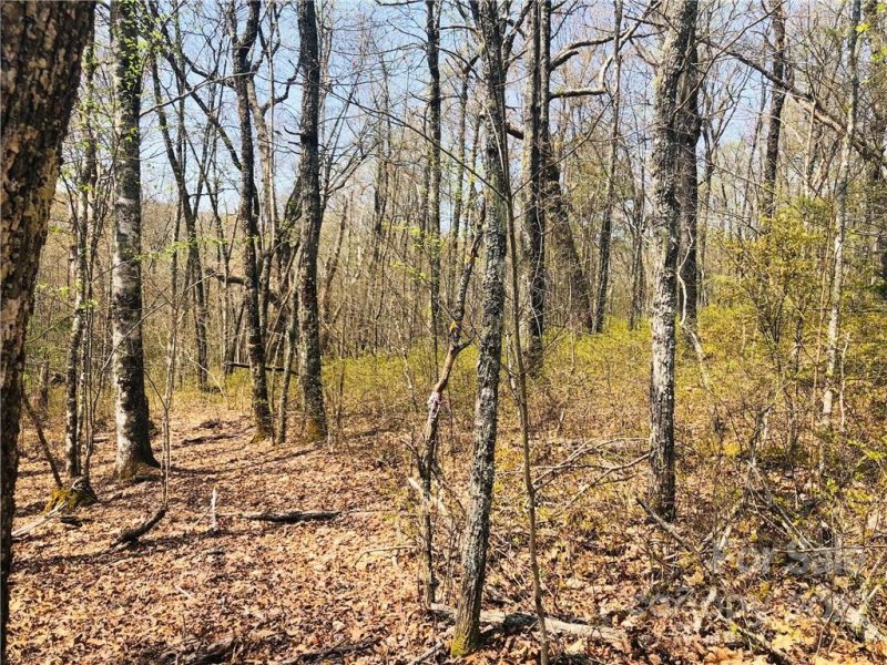 Property image 2 at Lot 83r Firesong Lane, Glenville, NC 28736
