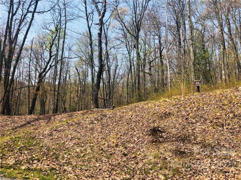 Property image 3 at Lot 83r Firesong Lane, Glenville, NC 28736