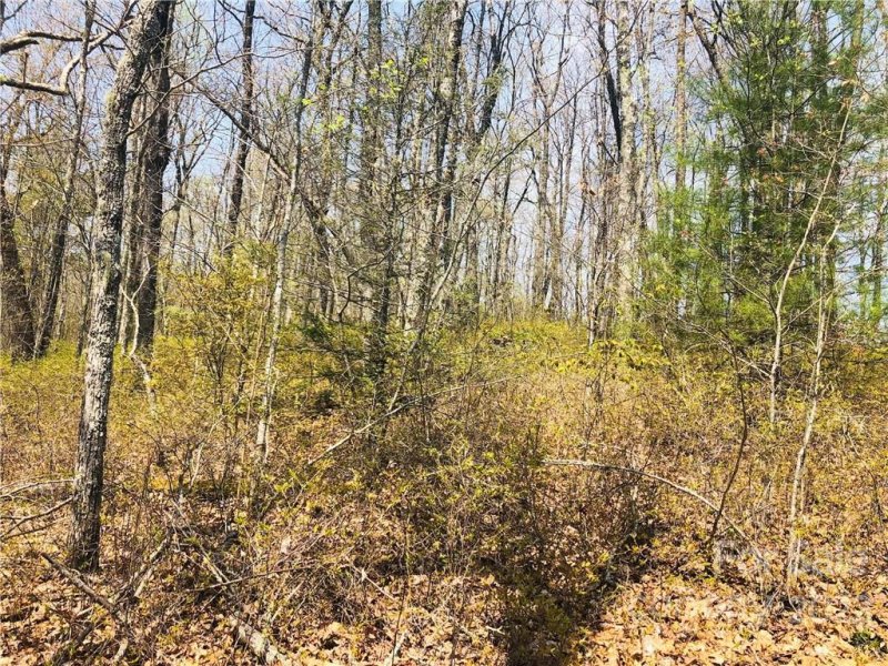 Property image 5 at Lot 83r Firesong Lane, Glenville, NC 28736