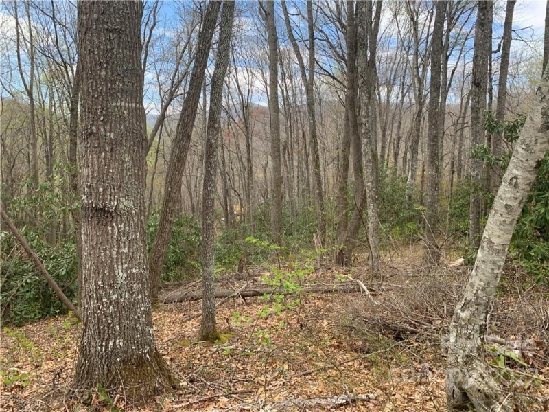 Property image 2 at 104 Overlook Drive, Maggie Valley, NC 287