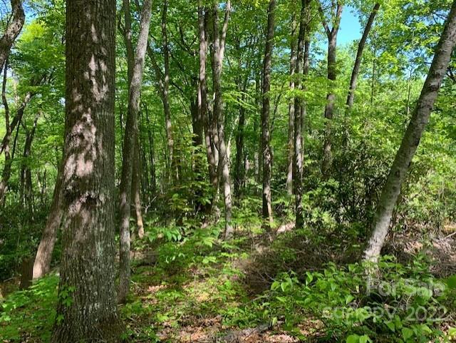 Property image 3 at 104 Overlook Drive, Maggie Valley, NC 287