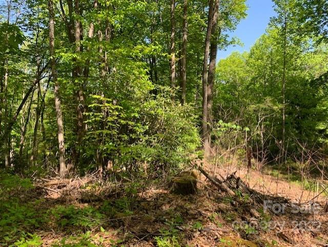 Property image 5 at 104 Overlook Drive, Maggie Valley, NC 287