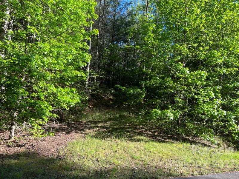 Property image 4 at 0 Narrow Gauge Drive, Collettsville, NC 28611