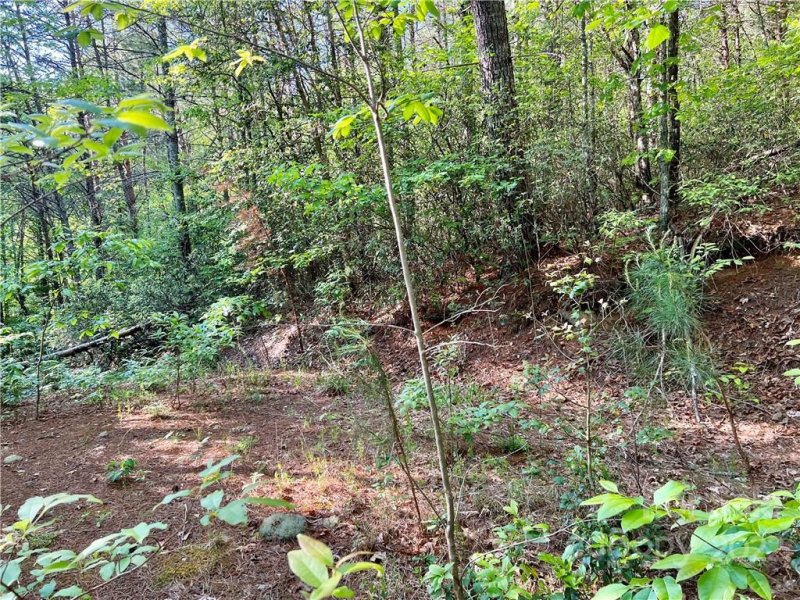 Property image 5 at 0 Narrow Gauge Drive, Collettsville, NC 28611