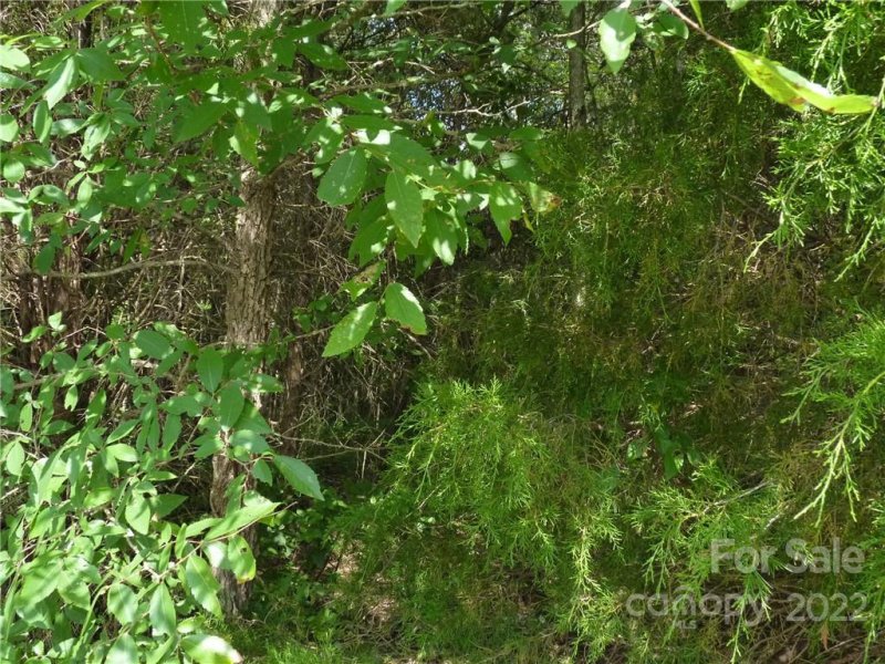 Property image 3 at 5469 Oakmont Street, Kannapolis, NC 28081