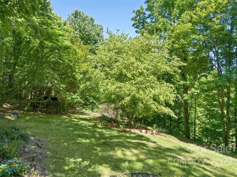 Property image 3 at 8845 Tallow Tree Road, Connelly Springs, NC 28612
