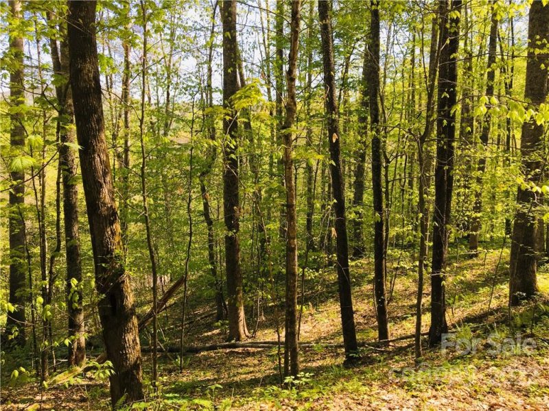 Property image 4 at 19 Trillium Lane, Mars Hill, NC 28754