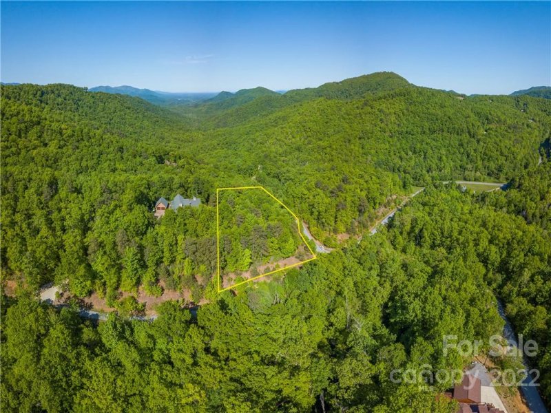 Property image 3 at Lot 180 Catawba Falls Preserve None, Black Mountain, NC 28711