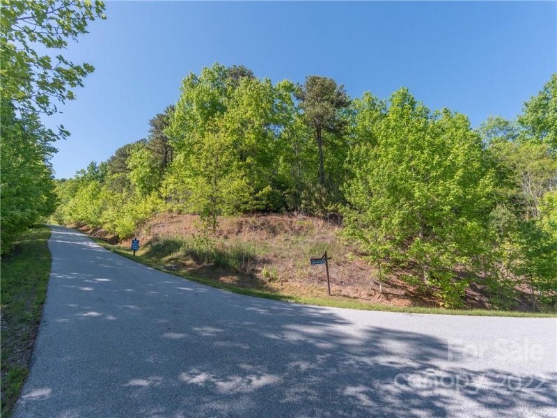 Property image 4 at Lot 180 Catawba Falls Preserve None, Black Mountain, NC 28711