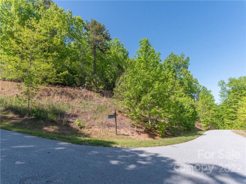 Property image 5 at Lot 180 Catawba Falls Preserve None, Black Mountain, NC 28711