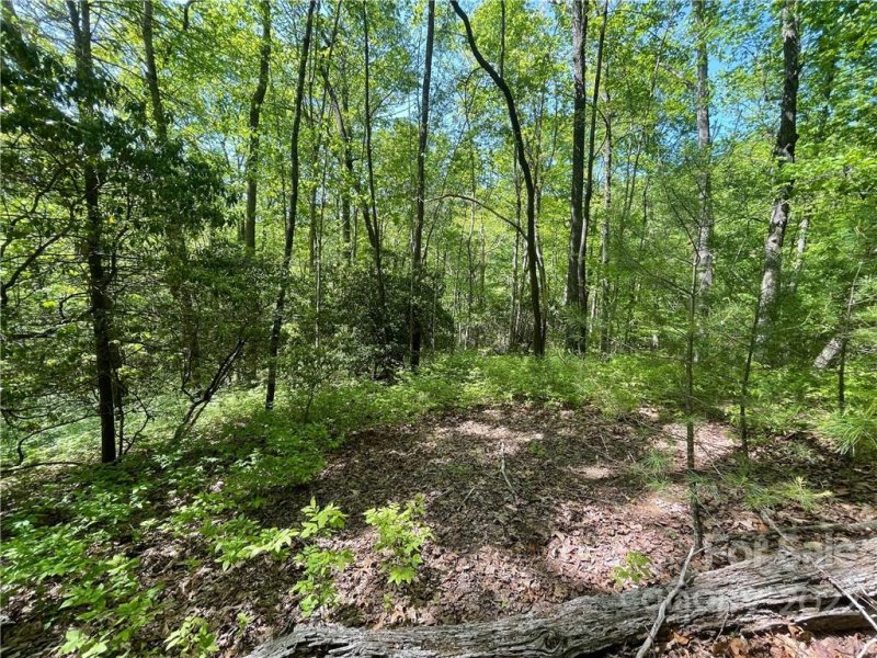 Property image 2 at 0000 Big Branch Road, Brevard, NC 28712