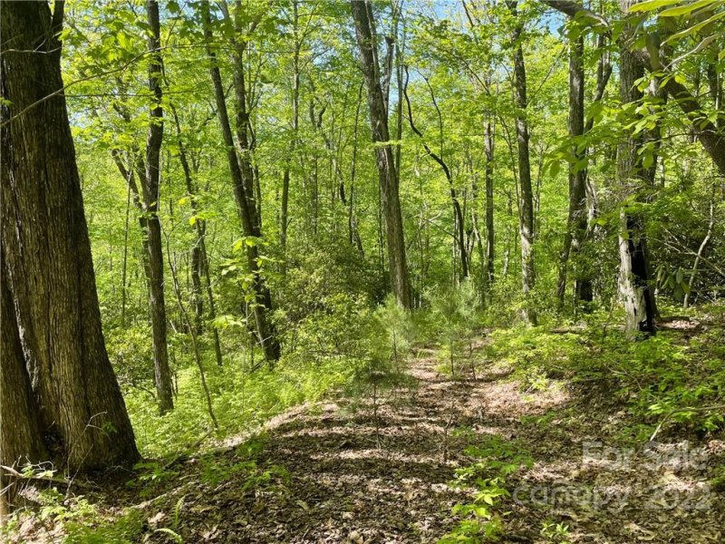 Property image 3 at 0000 Big Branch Road, Brevard, NC 28712