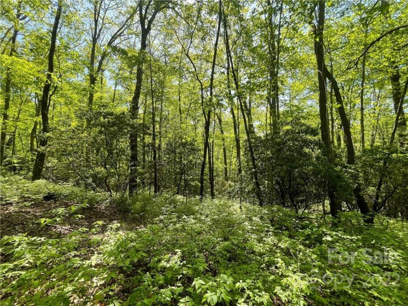 Property image 4 at 0000 Big Branch Road, Brevard, NC 28712