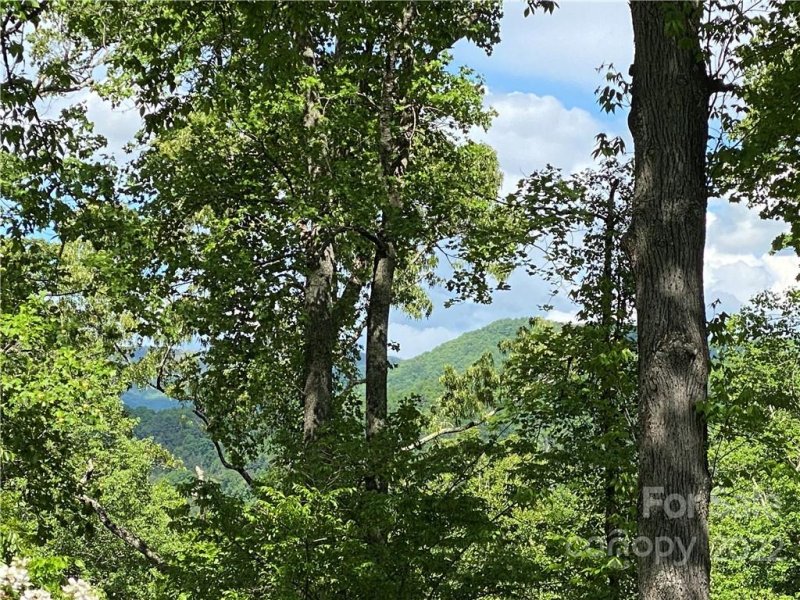 Property image 2 at 11 Hickory Top Lane, Asheville, NC 28805