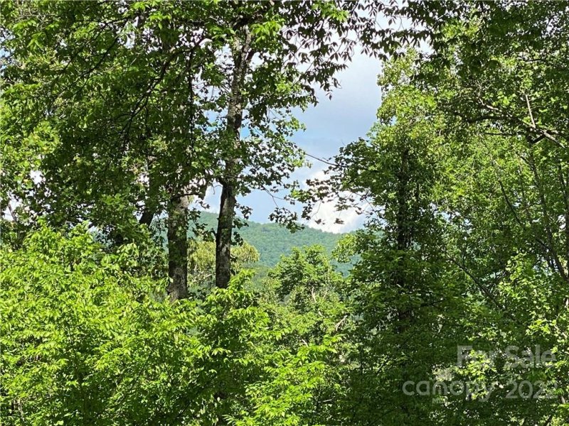 Property image 3 at 11 Hickory Top Lane, Asheville, NC 28805