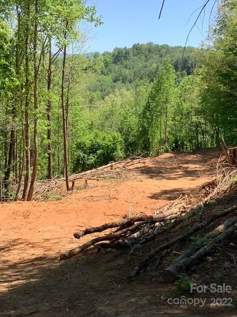 Property image 2 at 12 Willow Knoll Drive, Weaverville, NC 28787