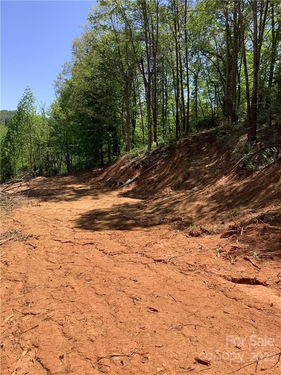 Property image 3 at 12 Willow Knoll Drive, Weaverville, NC 28787