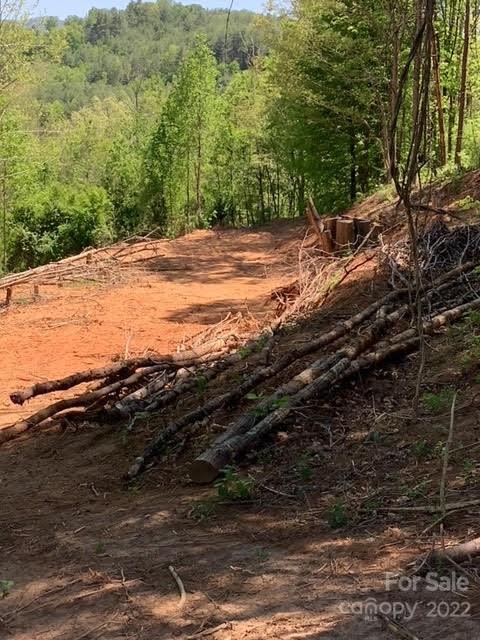 Property image 4 at 12 Willow Knoll Drive, Weaverville, NC 28787