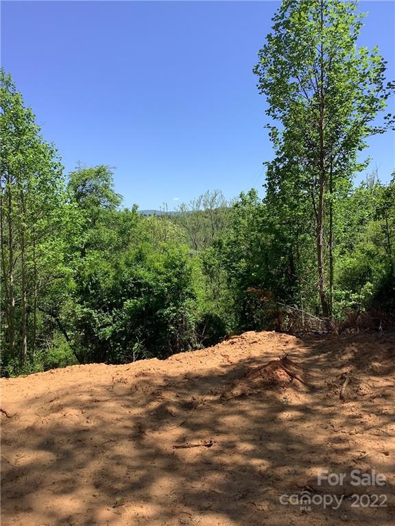 Property image 5 at 12 Willow Knoll Drive, Weaverville, NC 28787