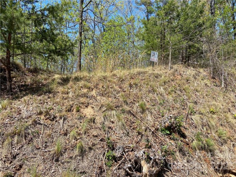 Property image 4 at 0 Golden Ridge Drive, Lake Lure, NC 28746