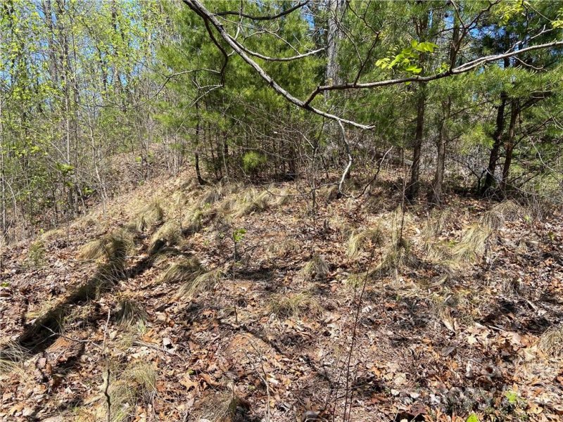 Property image 5 at 0 Golden Ridge Drive, Lake Lure, NC 28746