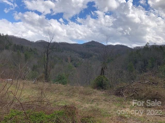 Property image 5 at 0 Firefly Trail, Marshall, NC 28753