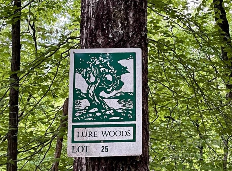 Property image 2 at Lot 25 Garden Lane, Lake Lure, NC 28746