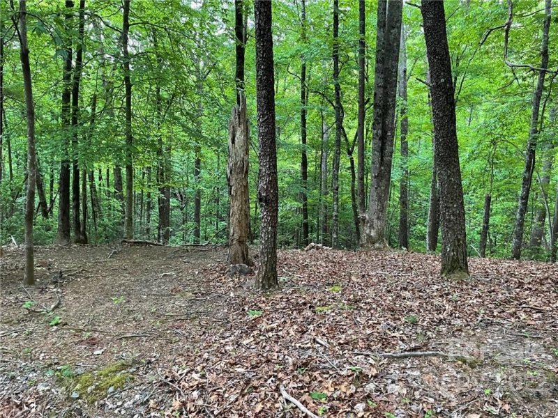 Property image 4 at Lot 25 Garden Lane, Lake Lure, NC 28746