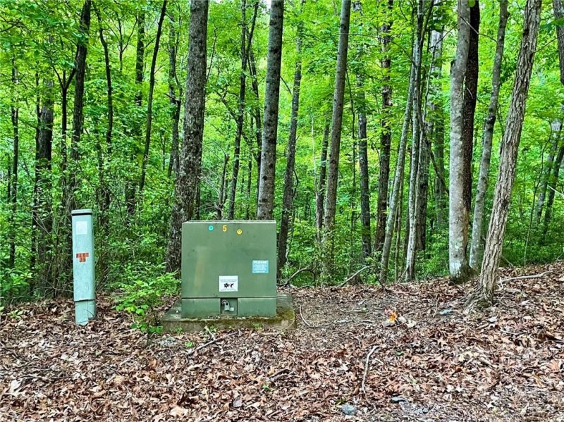 Property image 5 at Lot 25 Garden Lane, Lake Lure, NC 28746