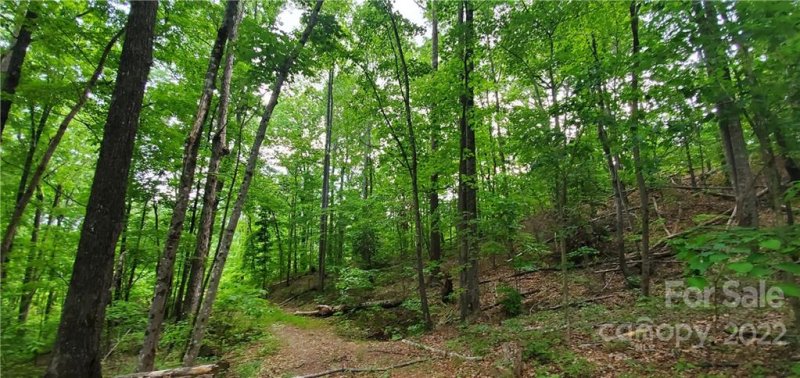 Property image 3 at 0 Lower Switchback Road, Union Mills, NC 28167