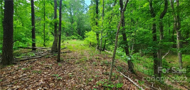 Property image 4 at 0 Lower Switchback Road, Union Mills, NC 28167