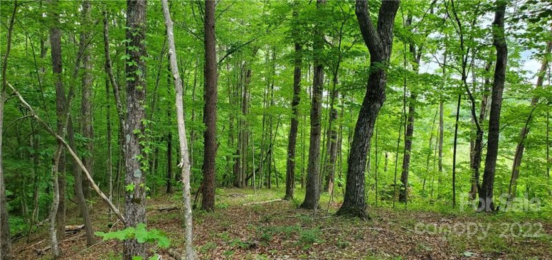 Property image 5 at 0 Lower Switchback Road, Union Mills, NC 28167