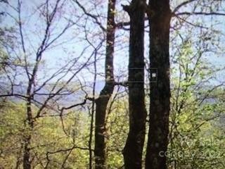 Property image 3 at 10 Honeysuckle Drive, Waynesville, NC 28786