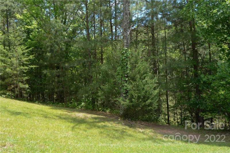 Property image 3 at 0000 Bent Oak Drive, Columbus, NC 28722