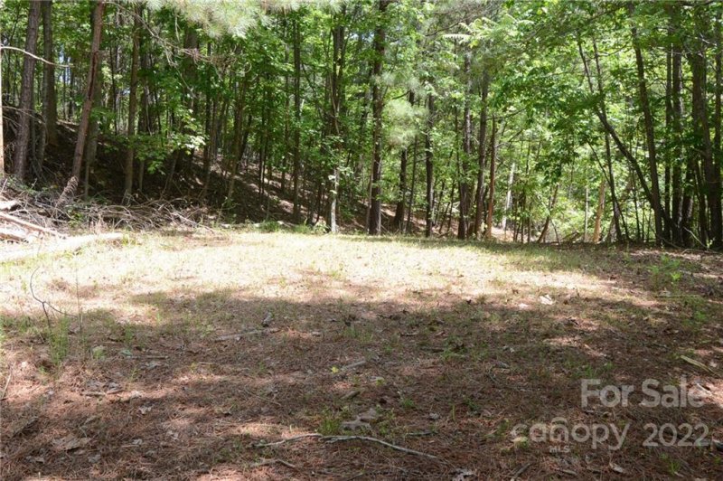 Property image 4 at 0000 Bent Oak Drive, Columbus, NC 28722