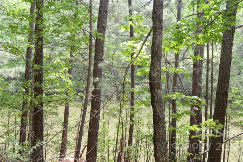 Property image 5 at 0000 Bent Oak Drive, Columbus, NC 28722