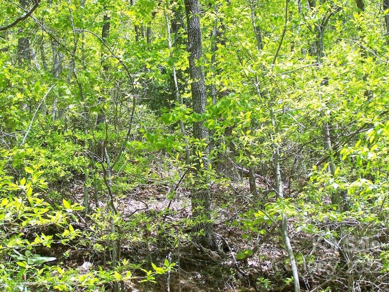 Property image 3 at 000 Winding Creek Drive, Waynesville, NC 28786