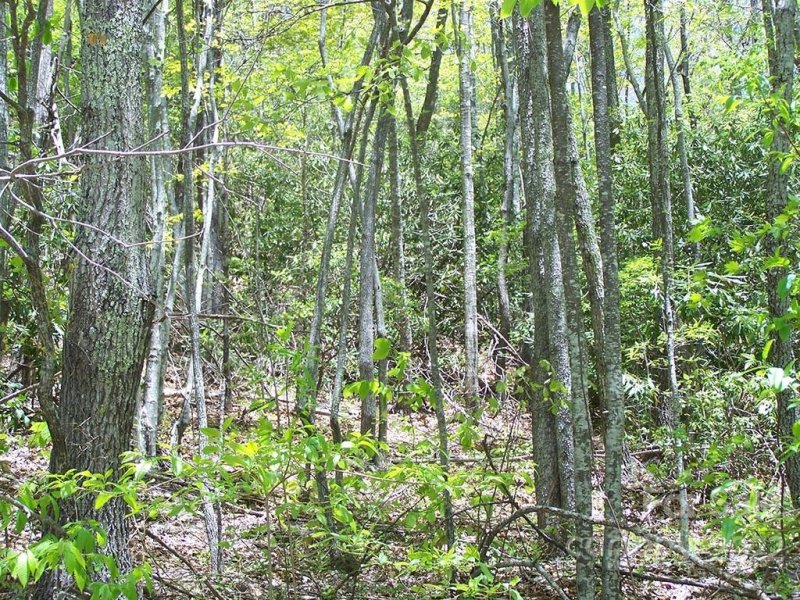 Property image 4 at 000 Winding Creek Drive, Waynesville, NC 28786