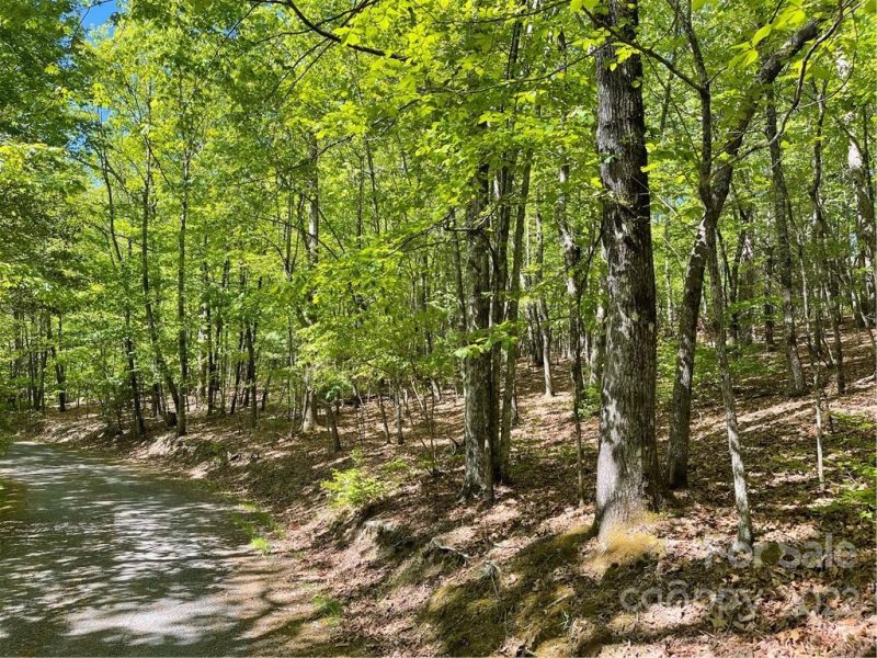 Property image 2 at Lot J 103 Mulberry Circle, Brevard, NC 28712