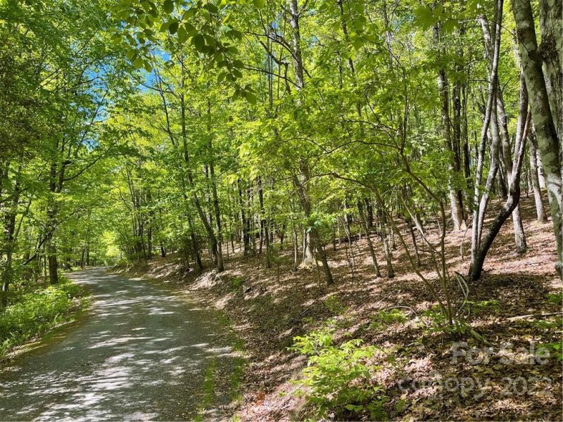 Property image 3 at Lot J 103 Mulberry Circle, Brevard, NC 28712