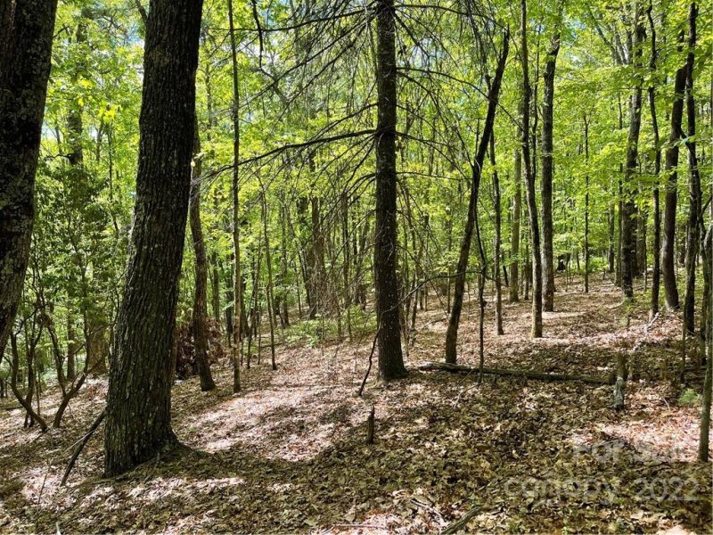 Property image 4 at Lot J 103 Mulberry Circle, Brevard, NC 28712