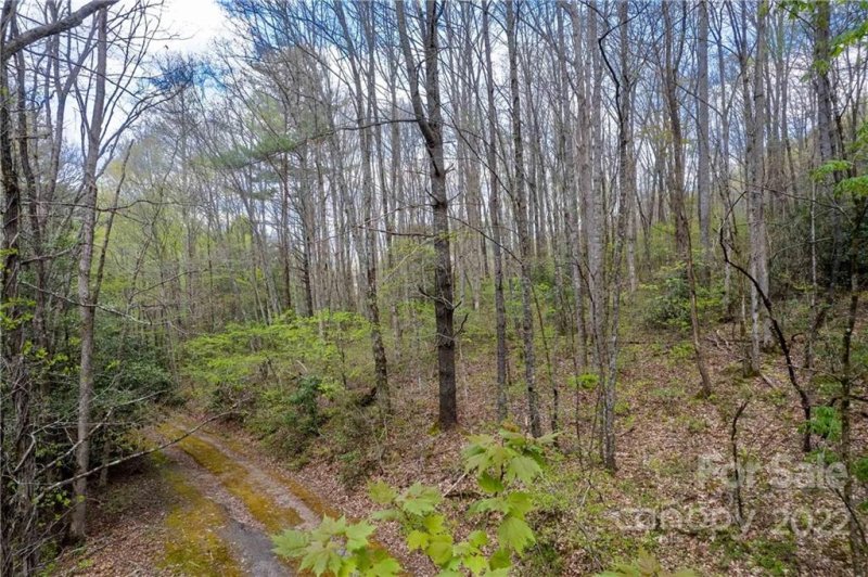 Property image 5 at 1691 N Country Club Drive, Cullowhee, NC 28723