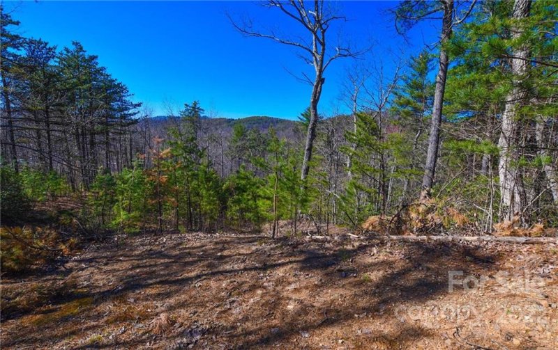 Property image 2 at 3953 Skyline Drive, Morganton, NC 28655